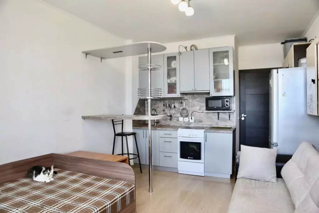 Студия Санкт-Петербург просп. Ветеранов, 169к2 (23.9 м) - Фото 2