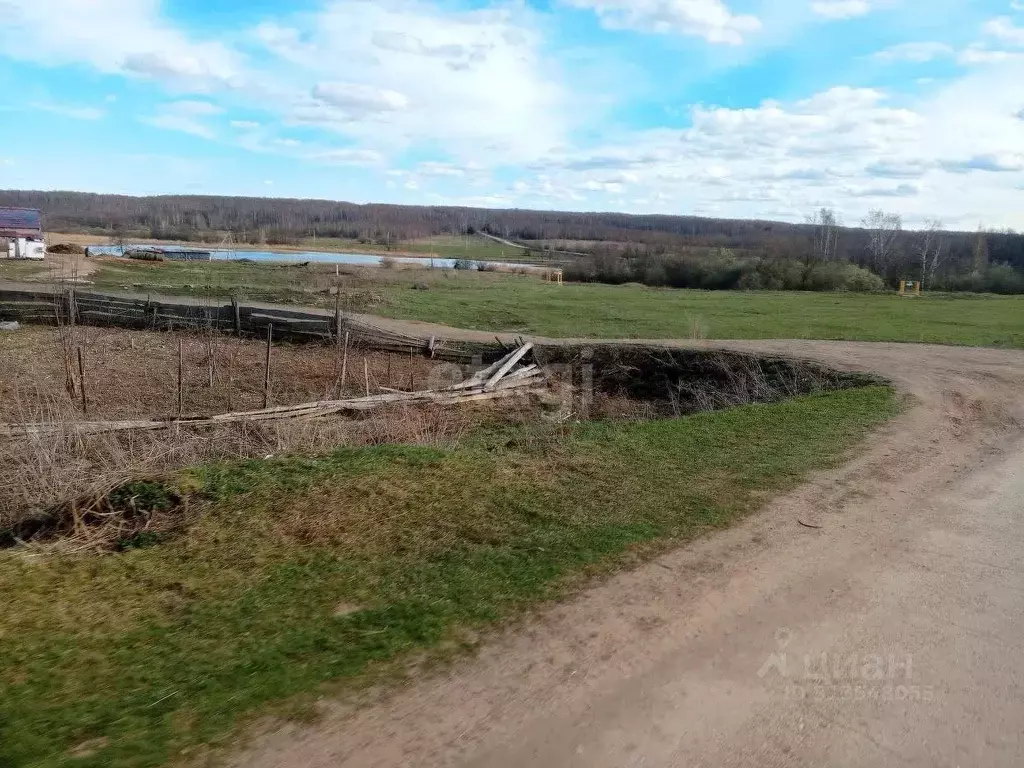 Участок в Нижегородская область, Богородский муниципальный округ, д. ... - Фото 1