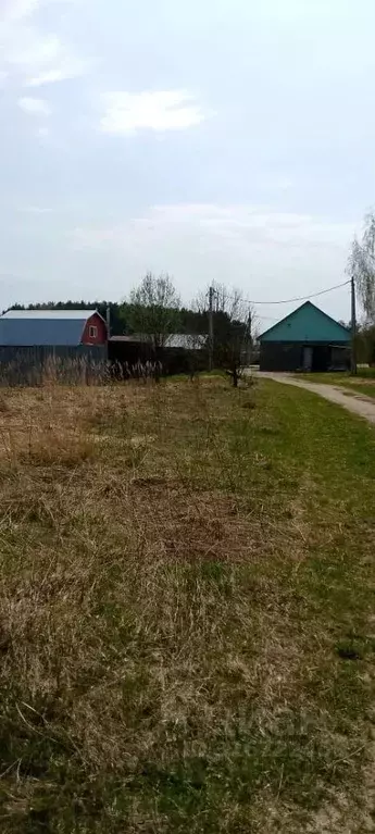 Участок в Владимирская область, Александровский район, Андреевское ... - Фото 1