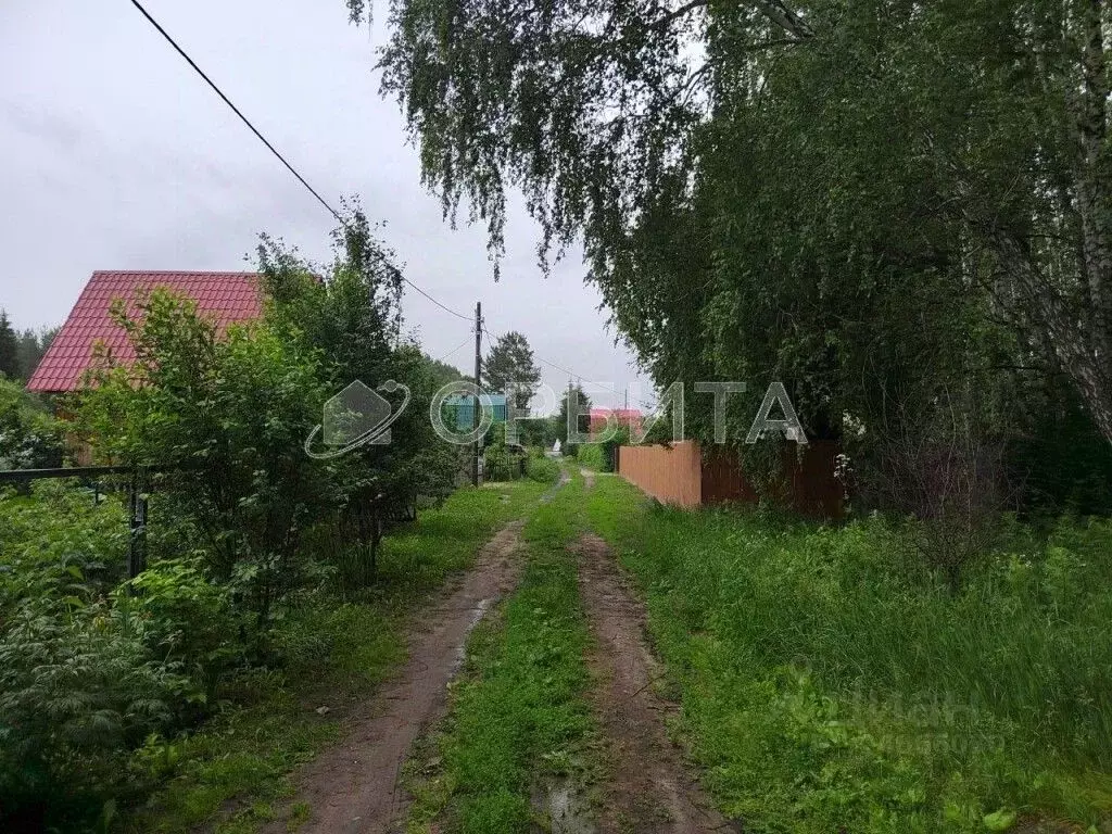 Участок в Тюменская область, Тюменский район, Искатель садовое ... - Фото 1