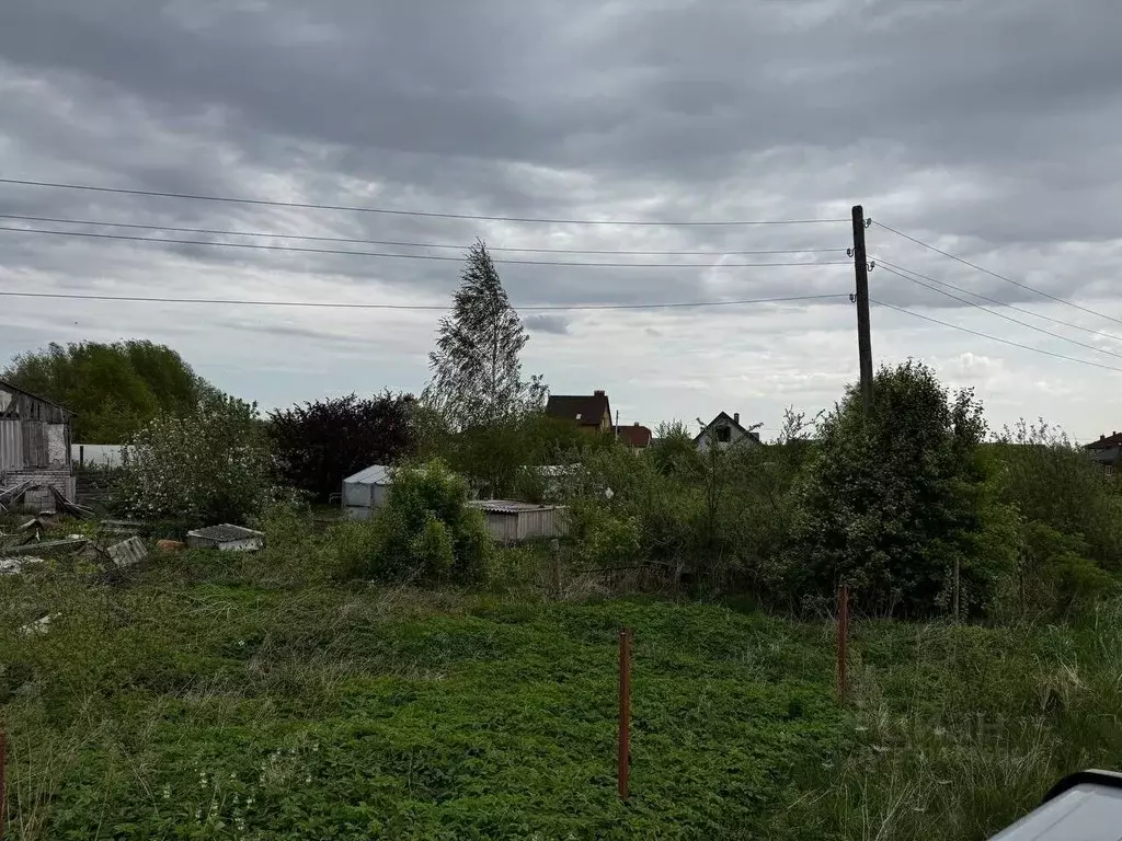 Участок в Калининградская область, Гурьевский муниципальный округ, ... - Фото 1