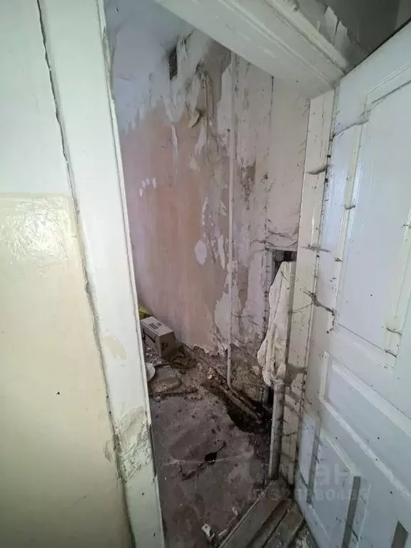 Помещение свободного назначения в Воронежская область, Воронеж ... - Фото 1