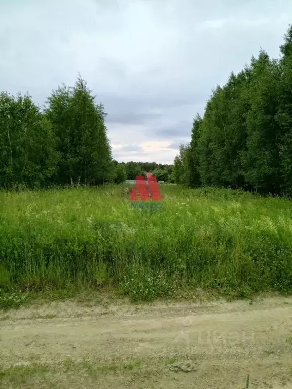 Участок в Ярославская область, Рыбинский муниципальный округ, д. ... - Фото 2