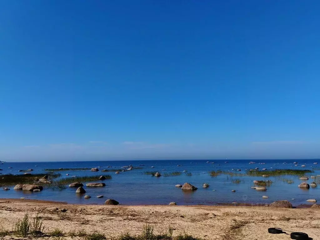 Дом в Ленинградская область, Ломоносовский район, Лебяженское ... - Фото 1