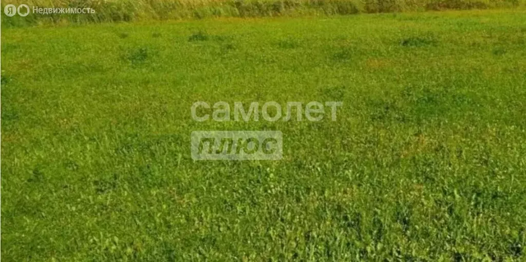 Участок в Республика Башкортостан, Стерлитамак (5.56 м) - Фото 1