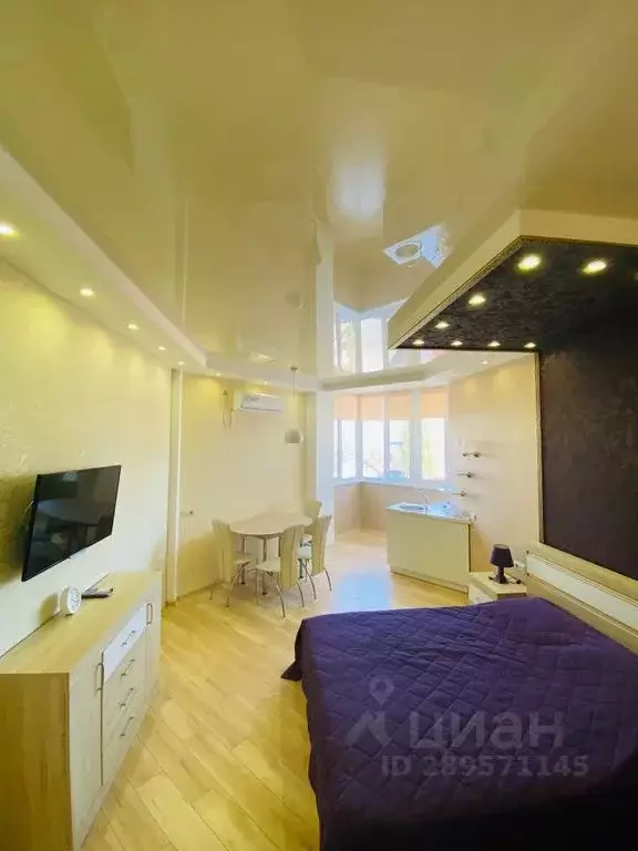 Студия Крым, Феодосия наб. Черноморская, 1Б (30.0 м) - Фото 2