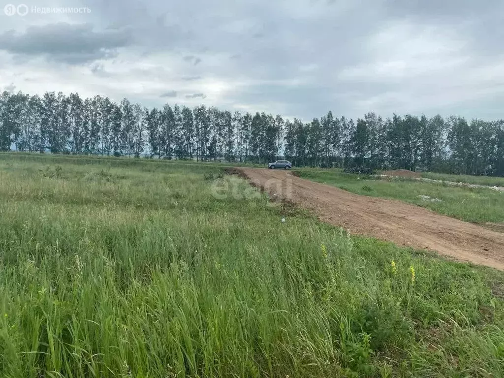Участок в Кармаскалинский район, Кабаковский сельсовет, село Сихонкино ... - Фото 2