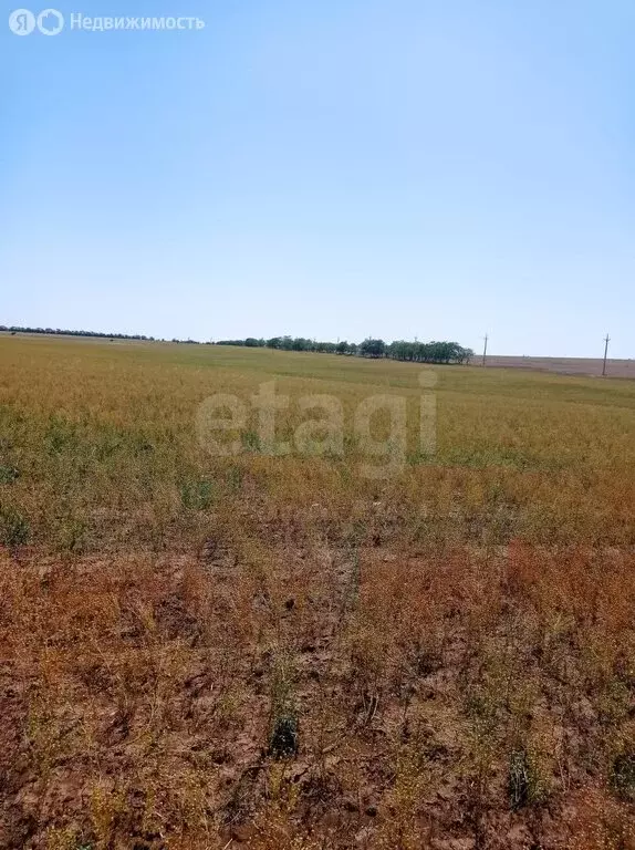 Участок в Сакский район, село Добрушино (152.42 м) - Фото 1