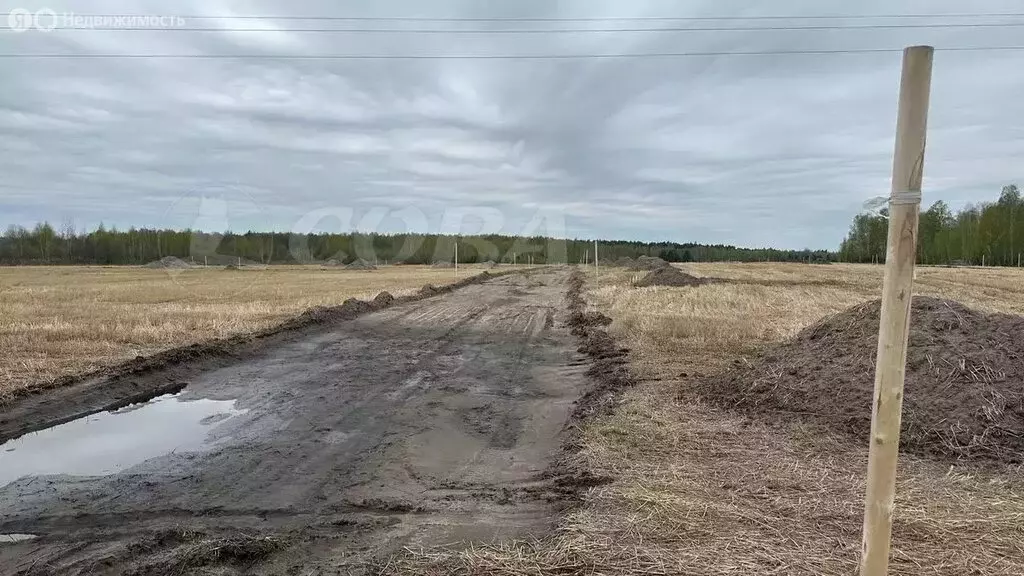 Участок в Свердловская область, Тугулымский муниципальный округ, ... - Фото 0
