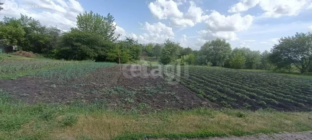 Участок в село Колыхалино, Оскольная улица (20.83 м) - Фото 2