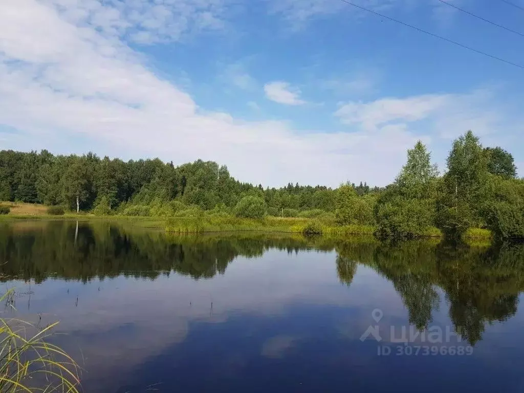 Участок в Московская область, Солнечногорск городской округ, Сергеевка ... - Фото 1