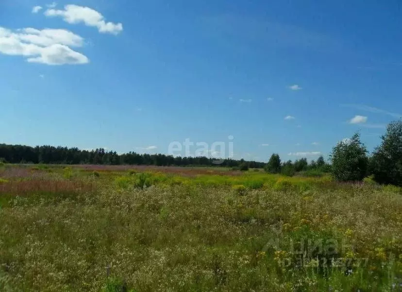 Участок в Костромская область, Сусанино пгт ул. Ленина (100.0 сот.) - Фото 0