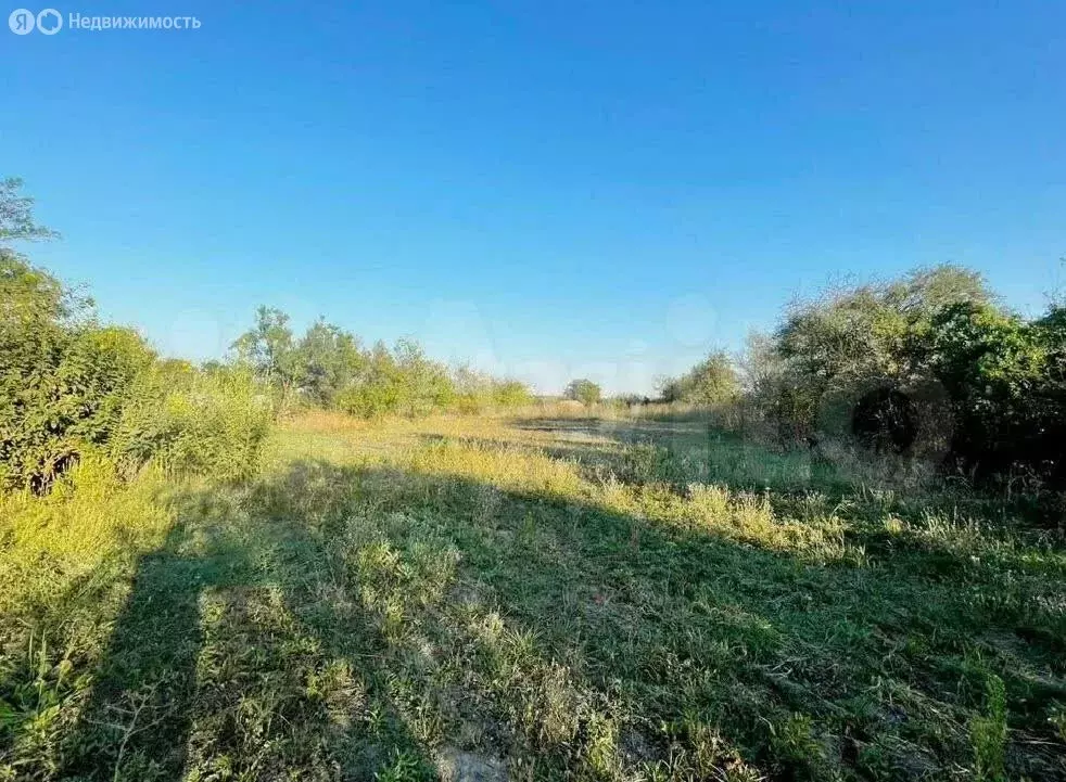 Участок в станица Нововеличковская, коттеджный посёлок Солнечная ... - Фото 2