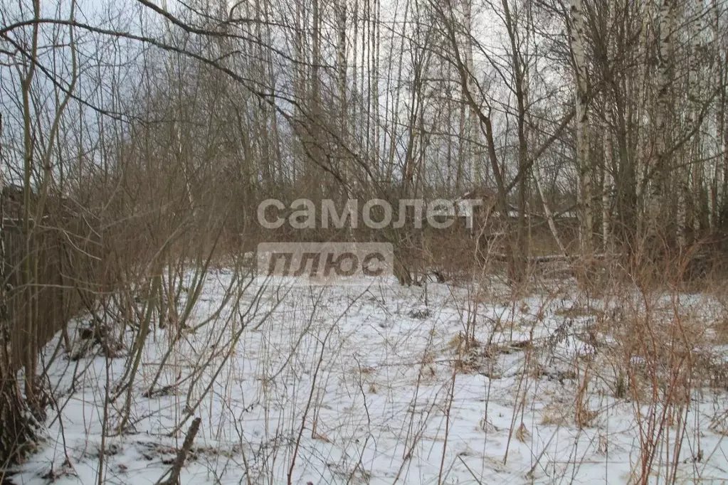 Участок в Ярославская область, Переславль-Залесский муниципальный ... - Фото 2