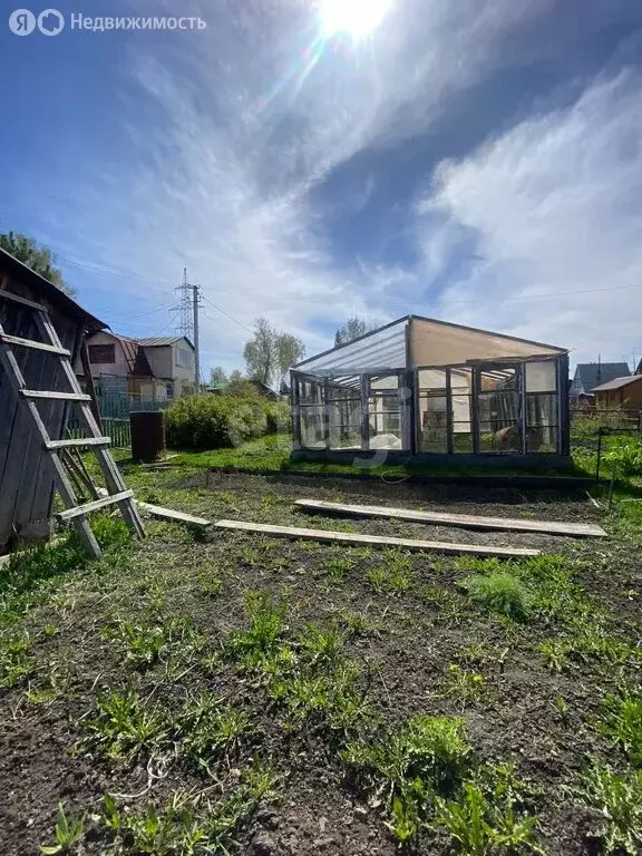 Дом в Тогучинский район, СНТ Кондитер (40 м) - Фото 1
