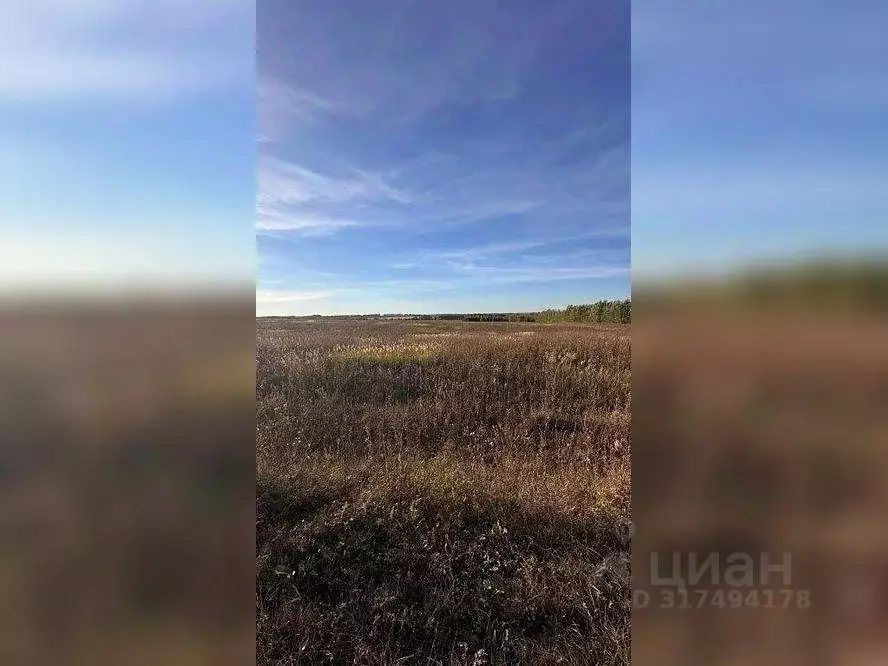 Участок в Московская область, Серебряные Пруды пгт ул. Советская ... - Фото 1