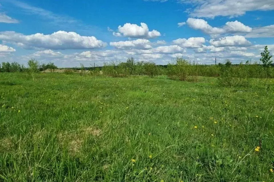 Участок в Иркутская область, Иркутский муниципальный округ, с. ... - Фото 2