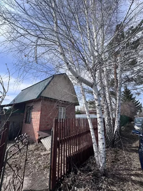 Дом в Омская область, Любинский район, Факел-1 СНТ  (35 м) - Фото 0