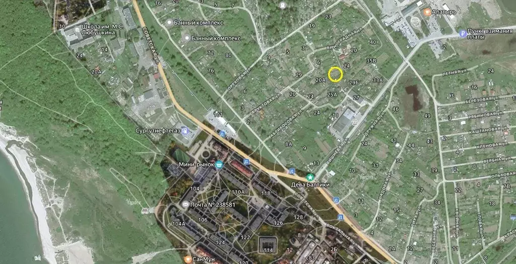 Участок в Калининградская область, Янтарный пгт, Садовник СНТ  (11.22 ... - Фото 1