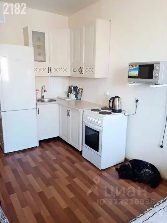 Студия Краснодарский край, Краснодар ул. Командорская, 3к1 (25.0 м) - Фото 2