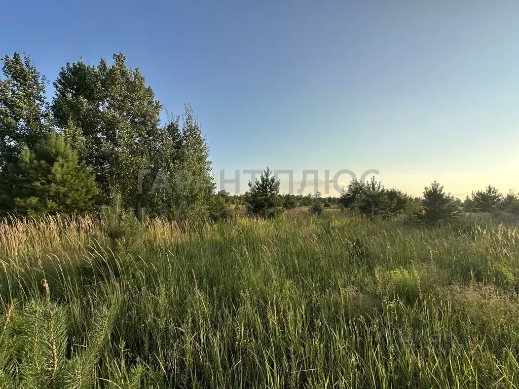 Участок в Липецкая область, Липецк ул. Сентябрьская, 6 (9.56 сот.) - Фото 2