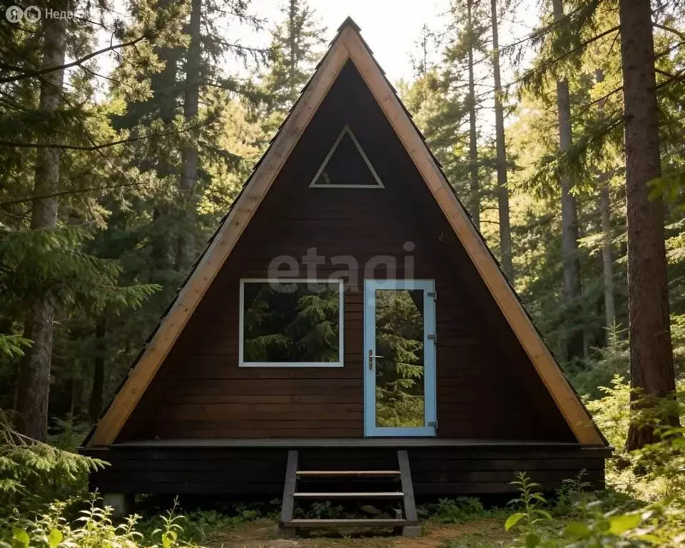 Дом в Хваловское сельское поселение, деревня Пруди (38 м) - Фото 2