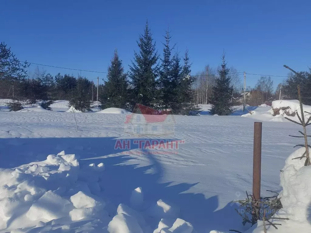Участок в Владимирская область, Александровский муниципальный округ, ... - Фото 2