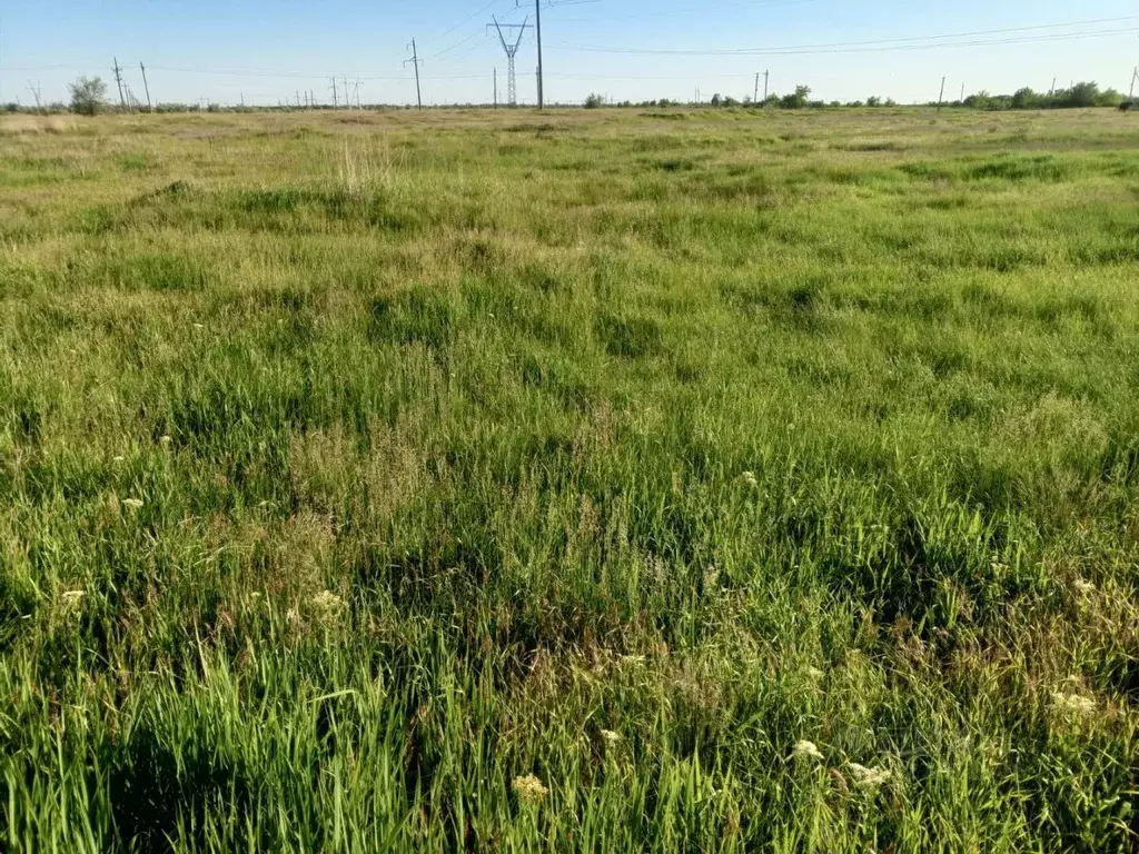 Участок в Ростовская область, Волгодонской район, Романовское с/пос, ... - Фото 1