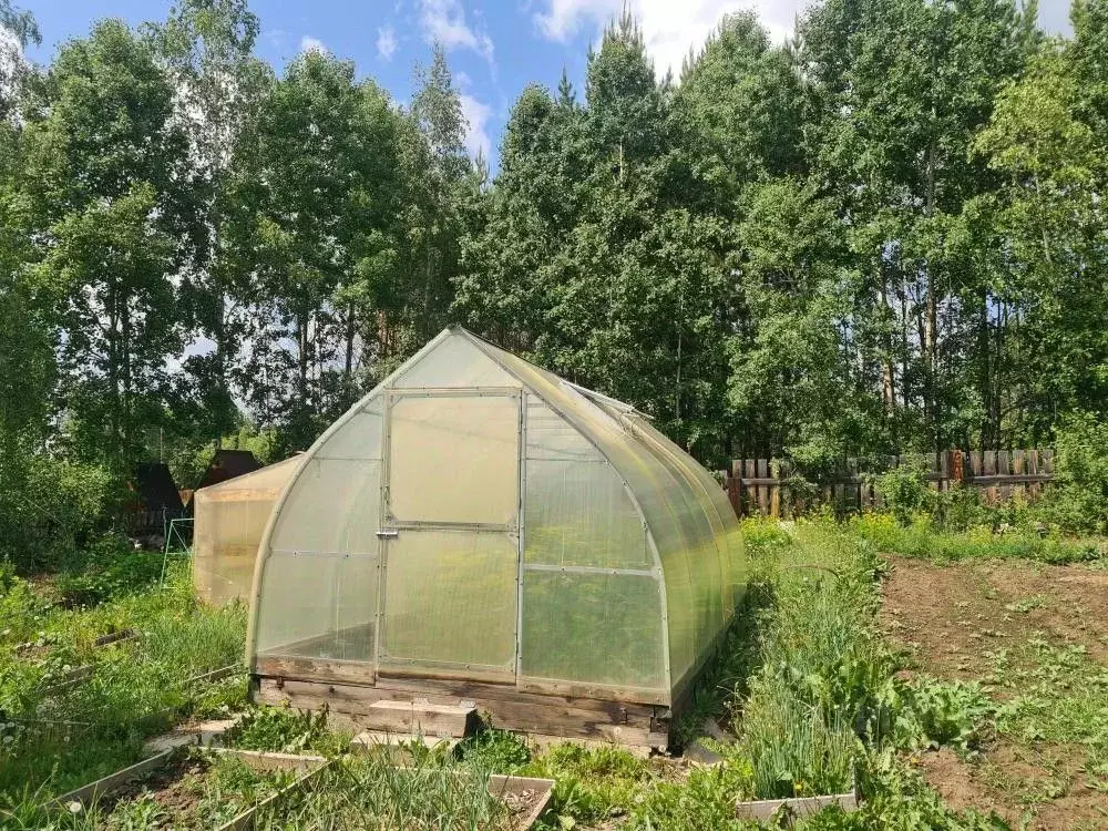 Дом в Иркутская область, Иркутский муниципальный округ, Хея СНТ ул. ... - Фото 0