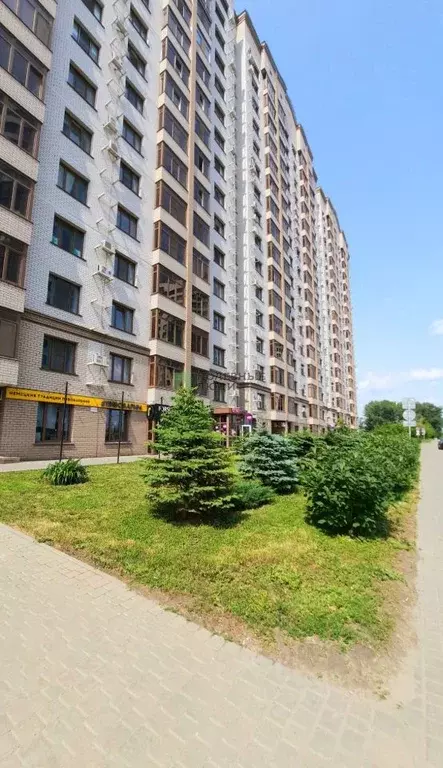 1-к кв. Алтайский край, Барнаул Приречная ул., 2А (40.0 м) - Фото 1