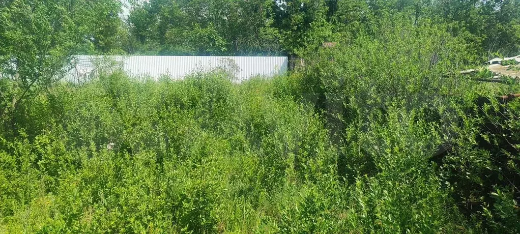 Участок 6,5 сот. (СНТ, ДНП) - Фото 1