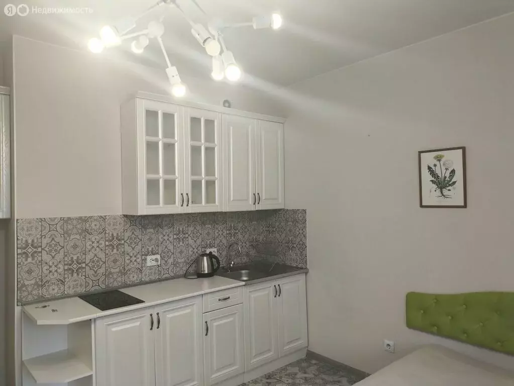 Квартира-студия: Санкт-Петербург, Плесецкая улица, 10 (24 м) - Фото 0