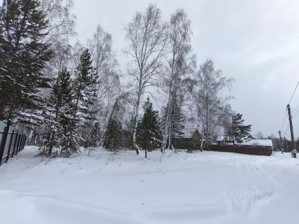 Участок в Красноярский край, Красноярск городской округ, пос. Минино ... - Фото 1