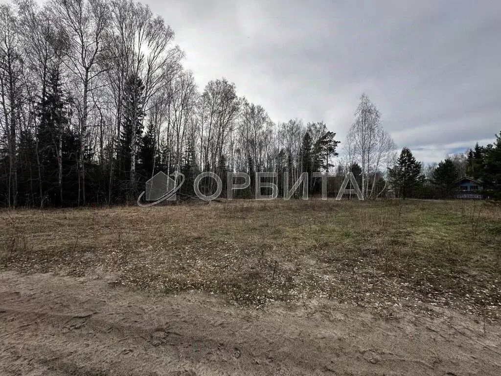 Участок в Тюменская область, Нижнетавдинский муниципальный округ, ... - Фото 2