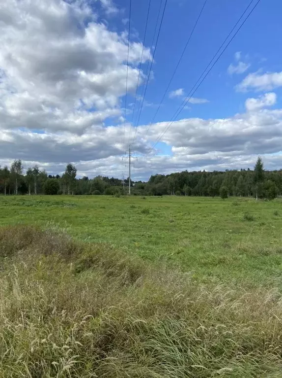 Участок в Московская область, Клин городской округ, д. Першутино 116 ... - Фото 1