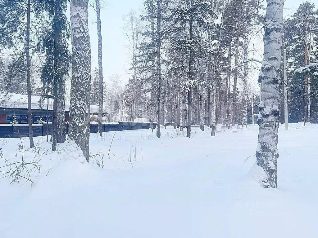 Участок в Новосибирская область, Новосибирск  (8.0 сот.) - Фото 1