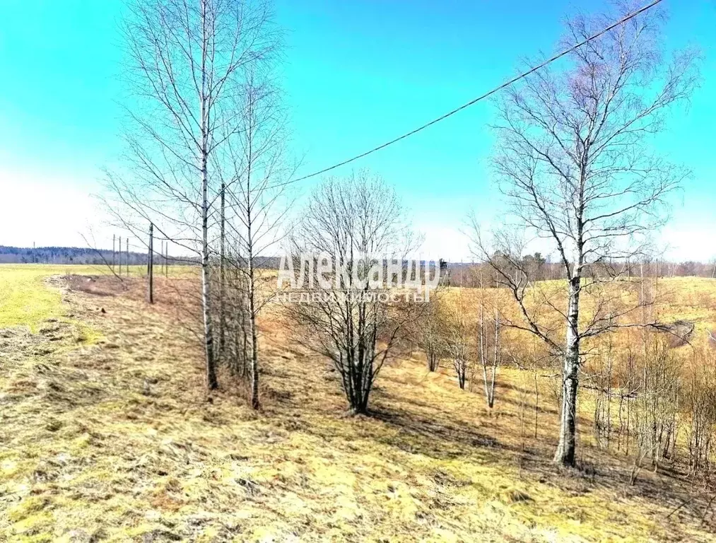 Участок в Ленинградская область, Приозерский район, Сосновское с/пос, ... - Фото 2