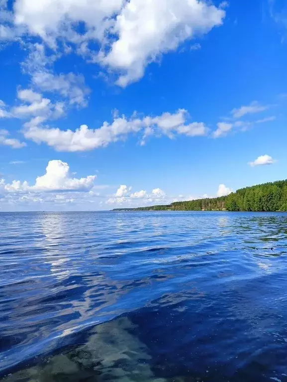 Участок в Нижегородская область, Сокольский муниципальный округ, д. ... - Фото 2