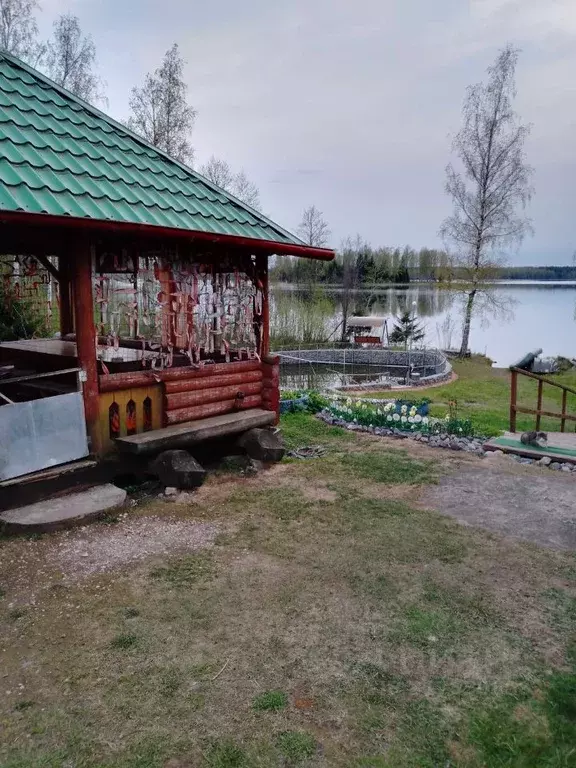 Дом в Новгородская область, Окуловский район, Березовикское с/пос, д. ... - Фото 0