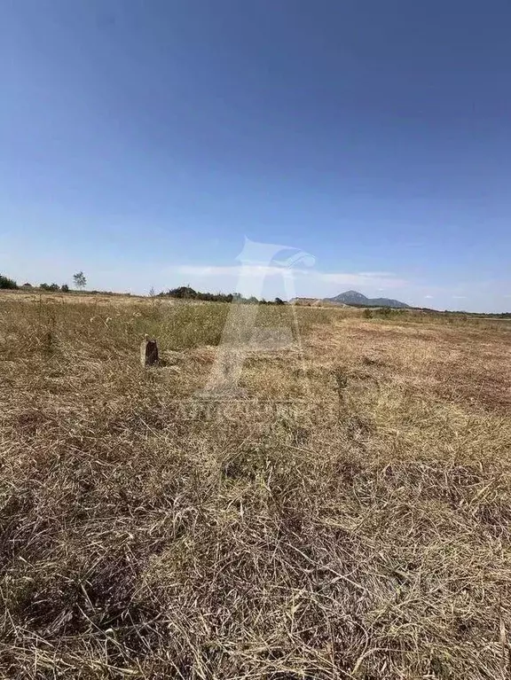 Участок в Ставропольский край, Предгорный муниципальный округ, с. Юца ... - Фото 1