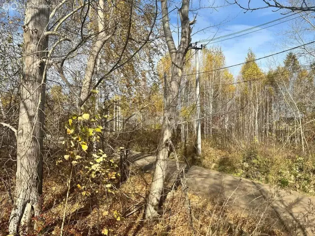 Участок в Сосновский район, Кременкульское сельское поселение, деревня ... - Фото 0