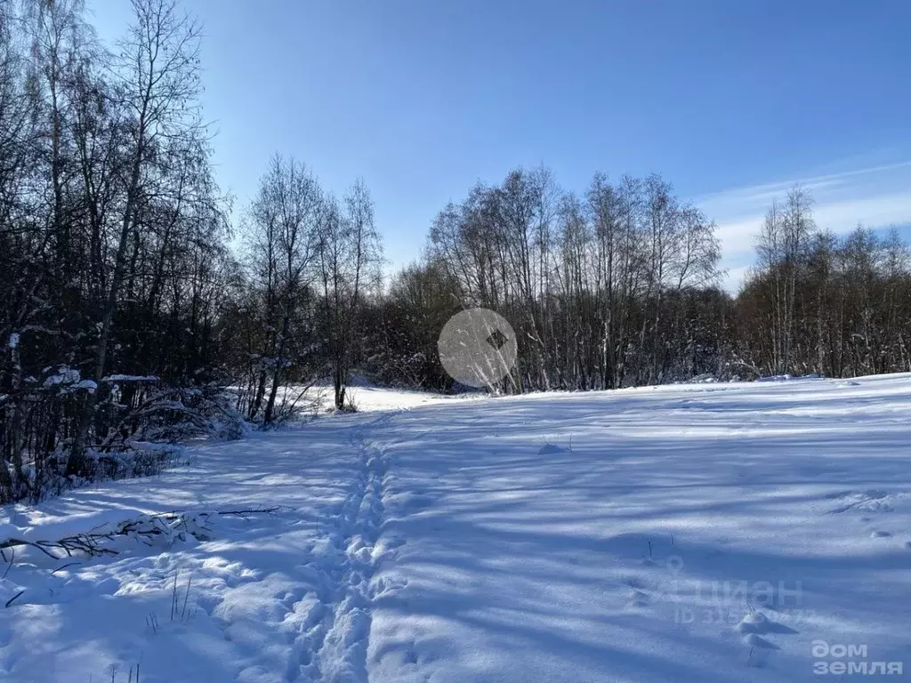 Участок в Ленинградская область, Всеволожский район, Куйвозовское ... - Фото 0