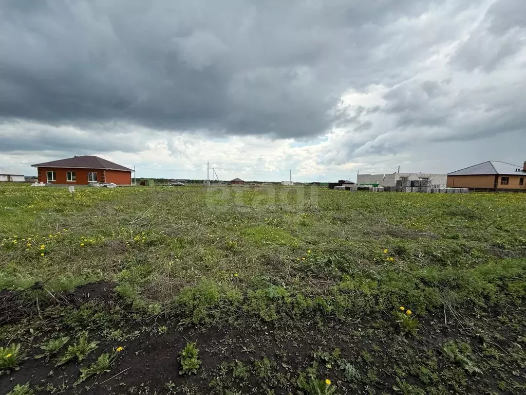 Участок в Белгородская область, Строитель Яковлевский городской округ, ... - Фото 0