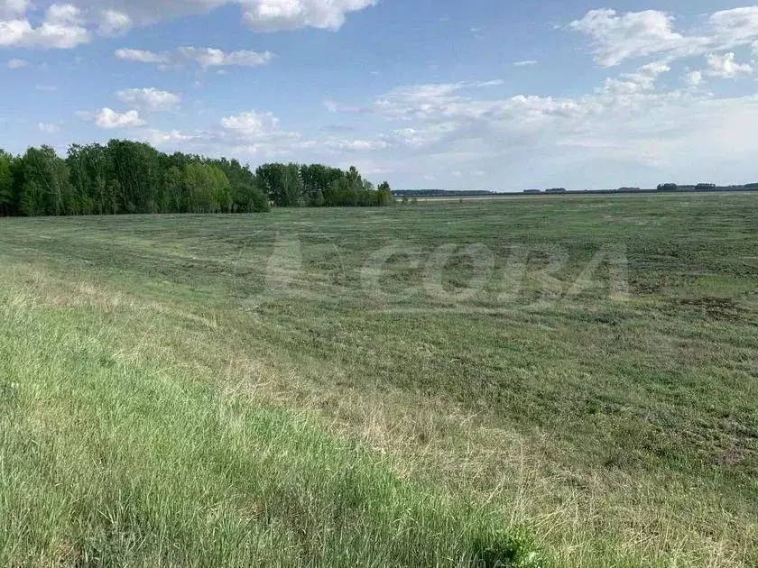 Участок в Тюменская область, Нижнетавдинский район, Журавли ДНП  (10.0 ... - Фото 1