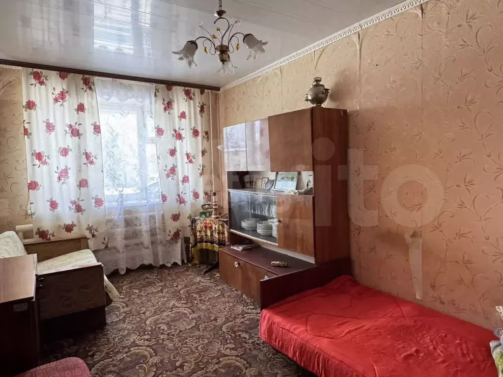 2-к. квартира, 36,5 м, 1/2 эт. - Фото 1
