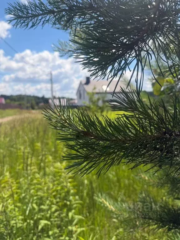 Участок в Московская область, Щелково городской округ, Маркино кв-л  ... - Фото 2