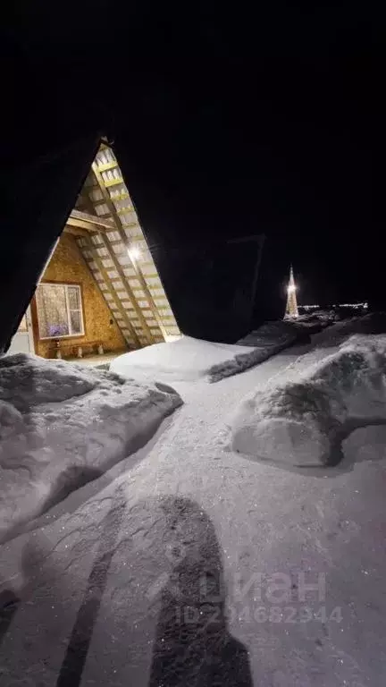 Дом в Карелия, Олонецкое городское поселение, д. Иммалицы  (36 м) - Фото 2