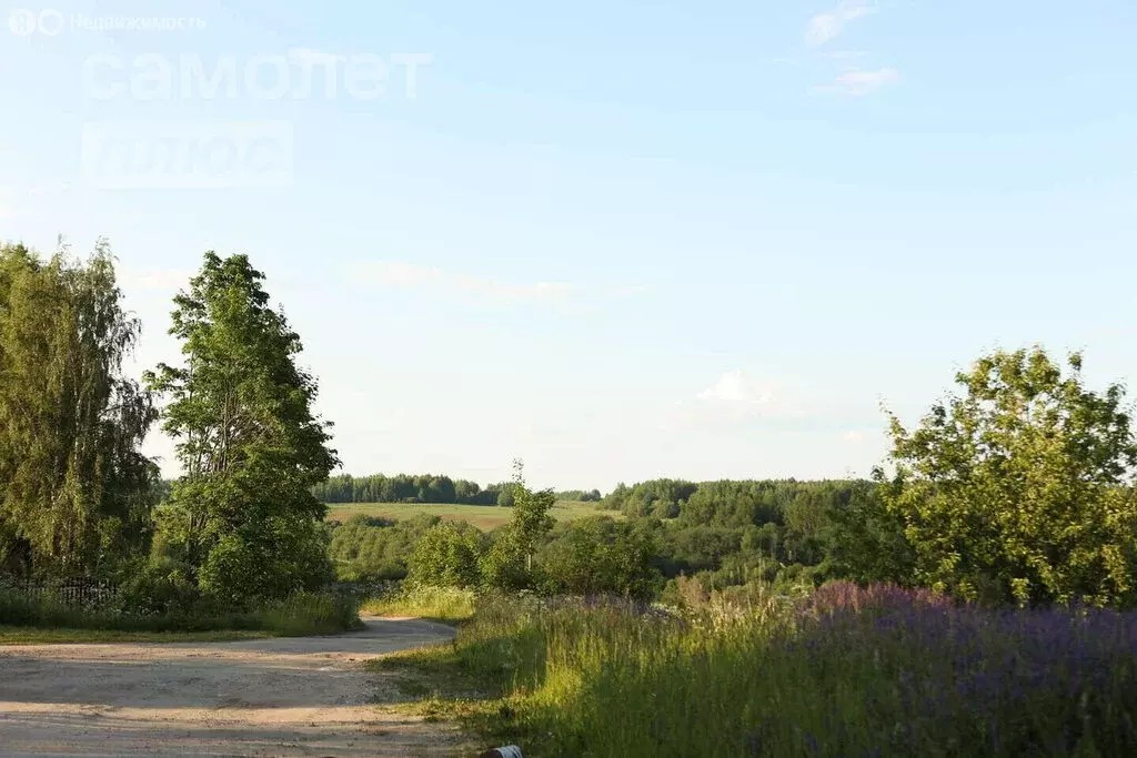 Участок в Вологодский муниципальный округ, деревня Филютино (20 м) - Фото 2