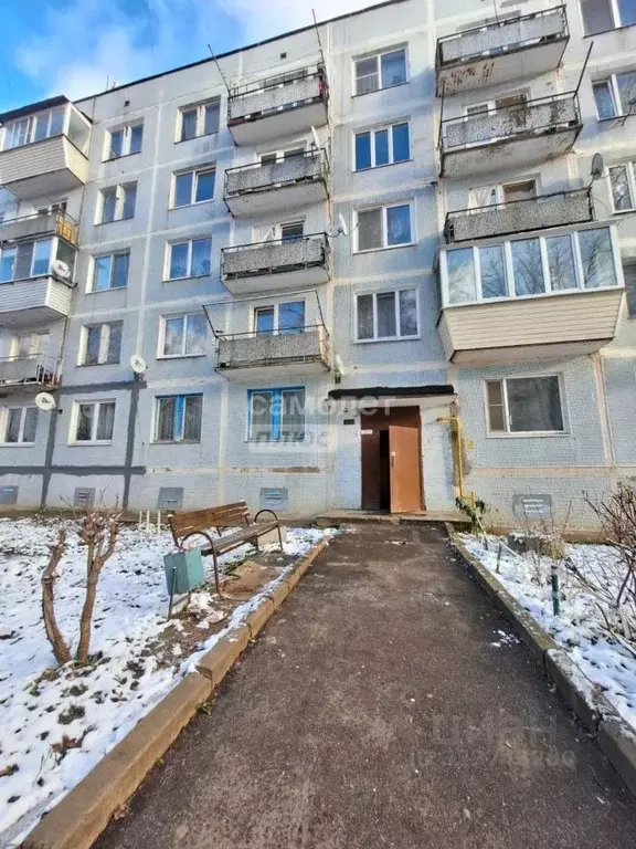 1-к кв. Московская область, Чехов муниципальный округ, д. Алексеевка, ... - Фото 2