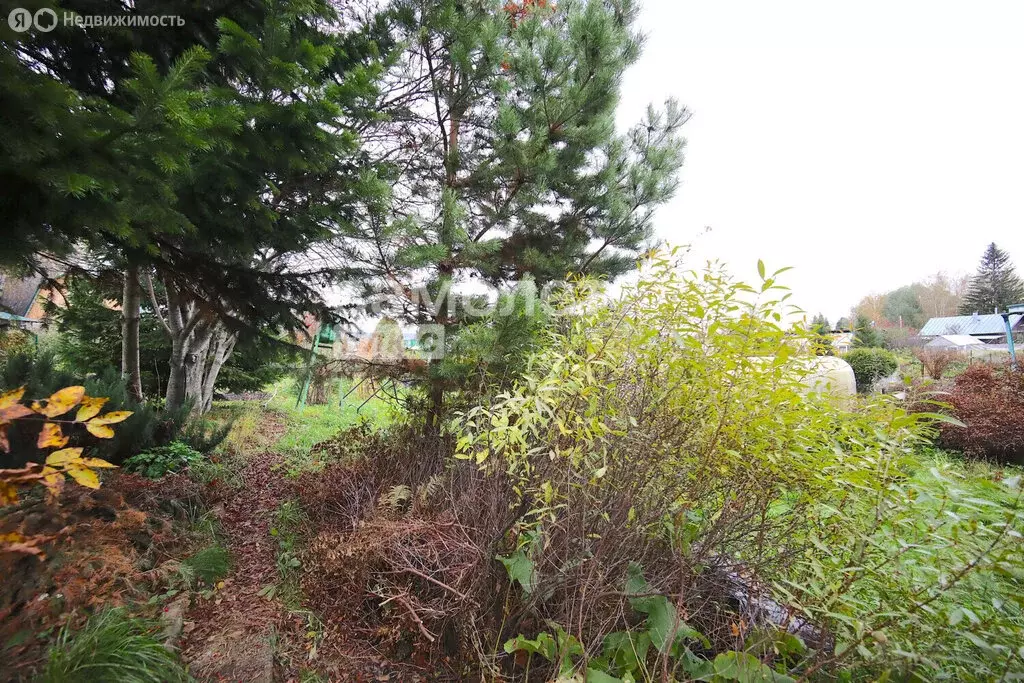 Дом в Кемеровский муниципальный округ, деревня Денисово (36 м) - Фото 1